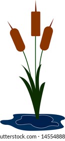 Reeds by the water, illustration, vector on white background.