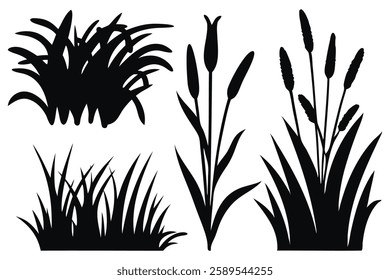 Reeds and coastal grass silhouettes set isolated flat vector illustration on white background.