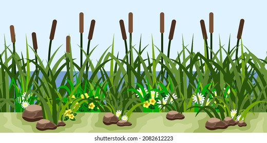 Reeds in grass and flowers, pond, lake or riverside. Green grassland, water, stones, reeds, chamomiles and yellow flowers. seamless repeat landscape, cartoon vector illustration