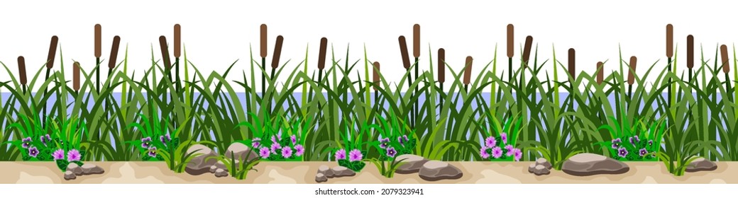 Reeds in grass with flowers, sandy ground and rock stones, river or lake coastline. Green summer grassland landscape, seamless repeat pattern. Vector illustration