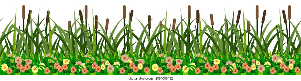 Reeds, grass and flowers, seamless repeat grassland pattern for cartoon landscape. Green grass, river reeds, yellow and orange wild flowers on white background, farm field. vector illustration