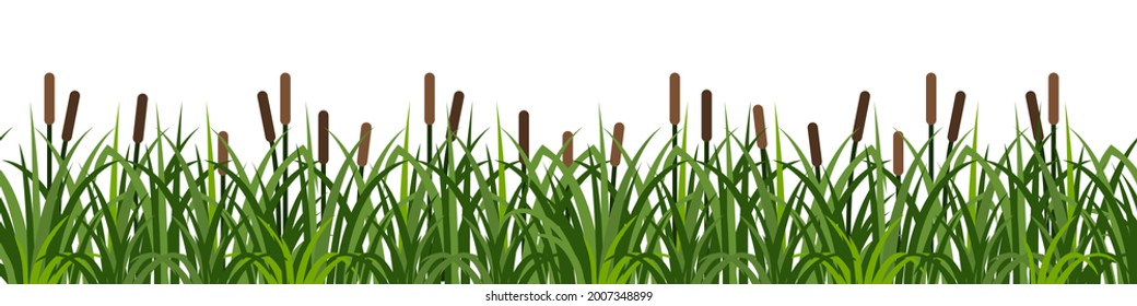 Reeds in grass, seamless pattern on white background. Green summer grass and river reeds, landscape design element  for cartoon or game asset. Vector illustration