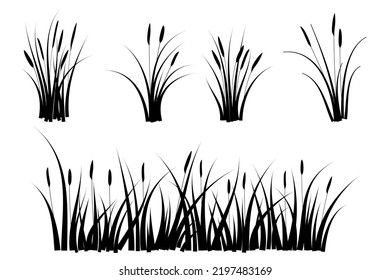 reeds grass silhouette. black grass graphic element