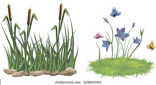 Reeds in grass, stones and flowers set isolated on white background