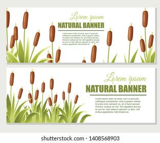 Reeds in green grass. Reed plant. Green swamp cane grass. Flat vector illustration on white background. Clip art for decorate swamp. Advertising flyer or greetings card design.