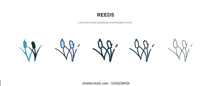 reeds icon in different style vector illustration. two colored and black reeds vector icons designed in filled, outline, line and stroke style can be used for web, mobile, ui