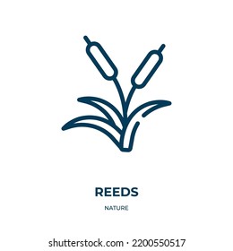 Reeds icon. Linear vector illustration from nature collection. Outline reeds icon vector. Thin line symbol for use on web and mobile apps, logo, print media.