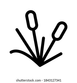 Reeds icon or logo isolated sign symbol vector illustration - high quality black style vector icons
