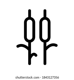 Reeds icon or logo isolated sign symbol vector illustration - high quality black style vector icons
