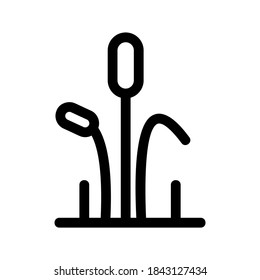Reeds icon or logo isolated sign symbol vector illustration - high quality black style vector icons

