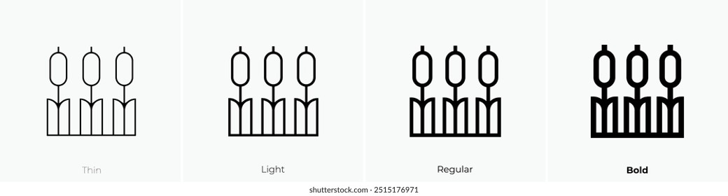 reeds icon. Thin, Light Regular And Bold style design isolated on white background