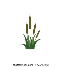 Reeds icon vector design template and symbol