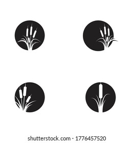 Reeds icon vector design template and symbol