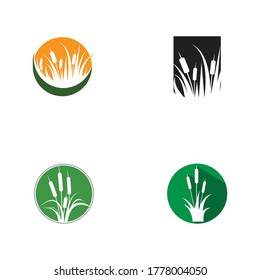 Reeds icon vector design template and symbol