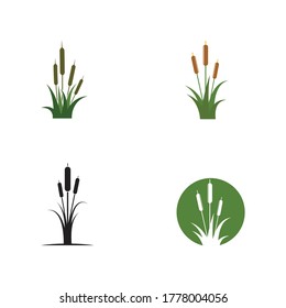 Reeds icon vector design template and symbol