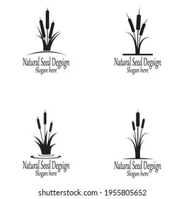 Reeds icon vector design template and symbol