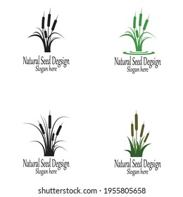 Reeds icon vector design template and symbol