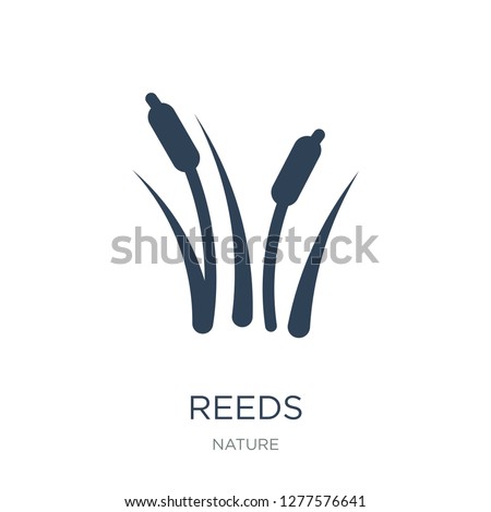 reeds icon vector on white background, reeds trendy filled icons from Nature collection, reeds vector illustration