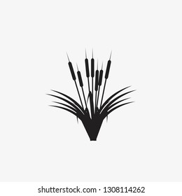 reeds illustration vector icon