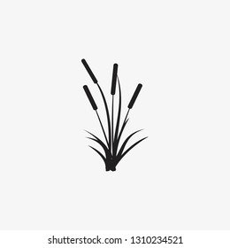 reeds illustration vector icon