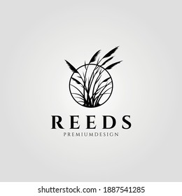 reeds logo vector aquatic plant illustration design