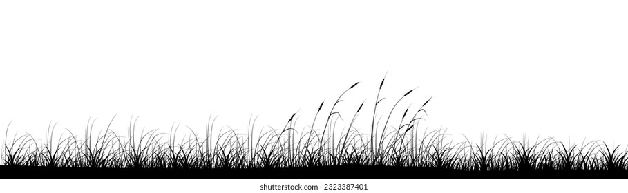 Reeds in meadow grass panoramic background design. Wild nature. Vector illustration with empty copy space for text. Editable shape for poster decoration. Creative and customizable panorama image