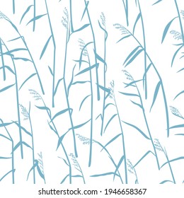 Reeds on a white background. Seamless vector pattern.