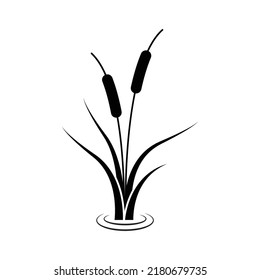 Reeds Plant Icon Design Isolated On Stock Vector (Royalty Free ...