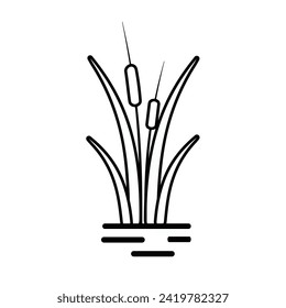 Reeds plant icon design template and symbol isolated on white background.