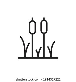 Reeds plant icon design. vector illustration