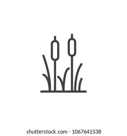 Reeds plant outline icon. linear style sign for mobile concept and web design. Cattail simple line vector icon. Symbol, logo illustration. Pixel perfect vector graphics