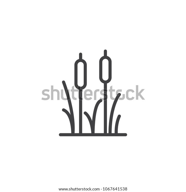 Reeds plant outline icon.\
linear style sign for mobile concept and web design. Cattail simple\
line vector icon. Symbol, logo illustration. Pixel perfect vector\
graphics