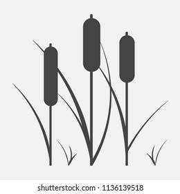 Reeds plant vector icon. Illustration of reeds.Layers grouped for easy editing illustration. For your design.