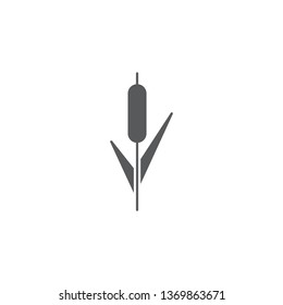 Reeds plant vector icon isolated on white background