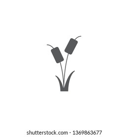 Reeds plant vector icon isolated on white background