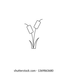 Reeds plant vector icon isolated on white background