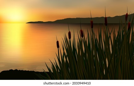 Reeds and rushes on the background of a golden sunset on the water with distant rock.