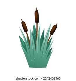Reeds or Swamp Bulrushes Growing in Green Grass Vector Illustration