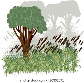 reeds with tree