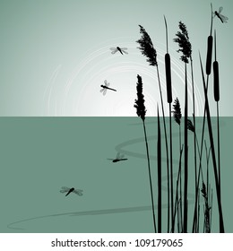 Reeds in the water and  few dragonflies  - vector