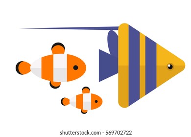 Reef clown fish or anemone vector illustration.
