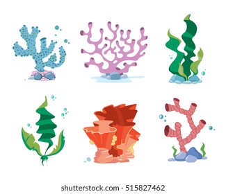 Reef corals, seaweeds, underwater wildlife plants vector set