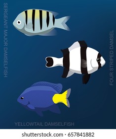 Reef Damselfish Set Cartoon Vector Illustration