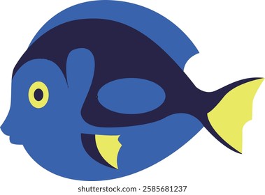 reef fish, blue tang isolated on white background 