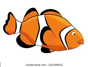 Reef fish / clown fish fish isolated on white background