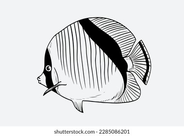 reef fish in the sea of ink drawing. Freshwater fish. Ink sketch isolated on white background. Hand drawn vector illustration. Retro style.
