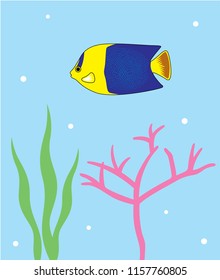 Reef Fish Vector. Coral Fish Illustration. Tropical fish poster wallpaper vector.