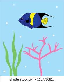 Reef Fish Vector. Coral Fish Illustration. Tropical fish poster wallpaper vector.