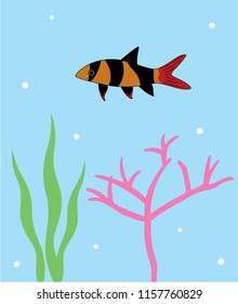 Reef Fish Vector. Coral Fish Illustration. Tropical fish poster wallpaper vector.