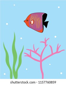 Reef Fish Vector. Coral Fish Illustration. Tropical fish poster wallpaper vector.